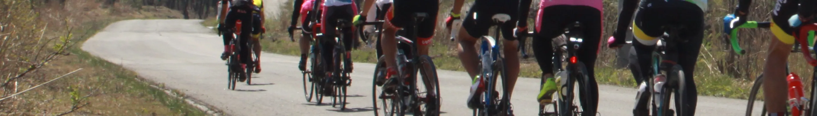 合宿・BBQ・自然体験