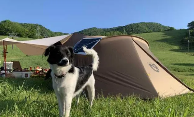 オートキャンプサイトB