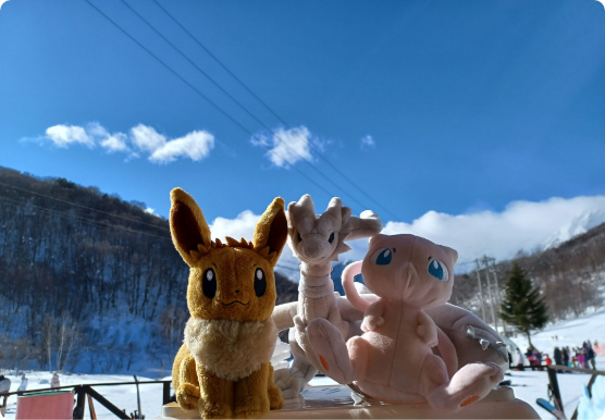ポケモンぬいぐるみ