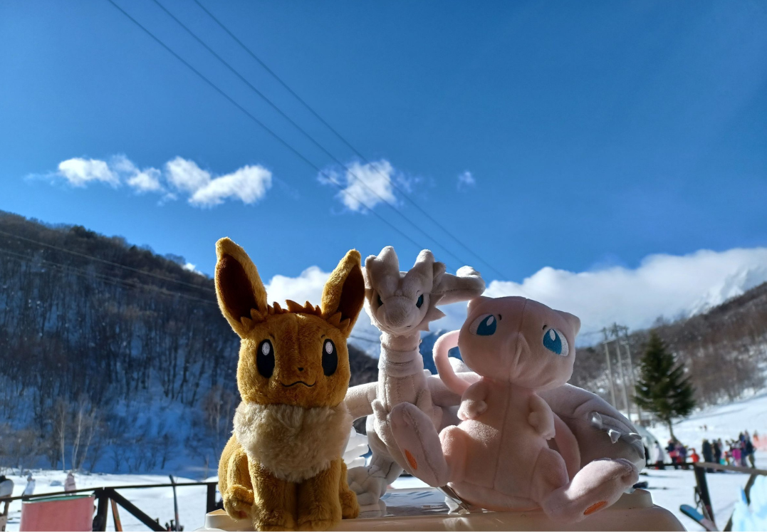 ポケモンぬいぐるみ