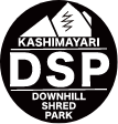 DSP